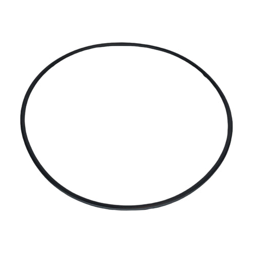 cartridge-filter-lid-o-ring-insnrg-ci-cartridge-filters-ci100-ci150
