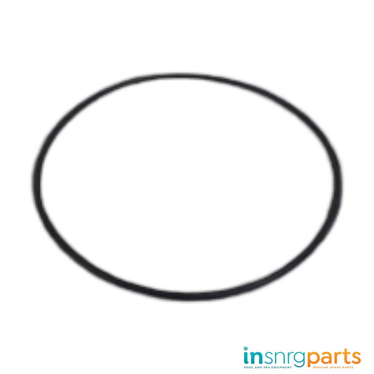 Seal Plate O-Ring - Insnrg Qi & Si Pumps [24C01602001]